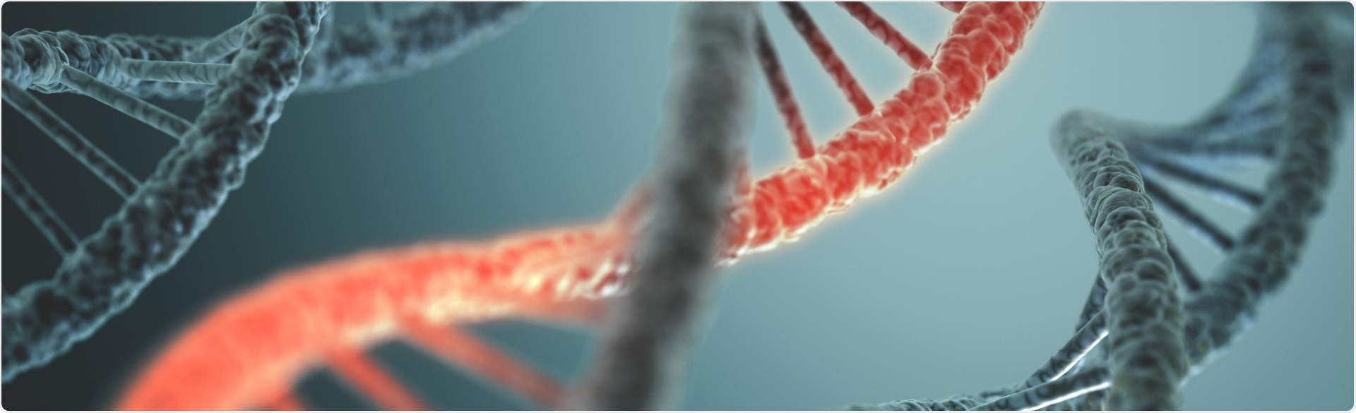Viral RNA undergoes conformational changes to hijack host cells, says study