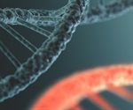 Viral RNA undergoes conformational changes to hijack host cells, says study