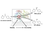 New technique to design enzyme stereoselectivity and substrate acceptance