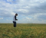 Researchers use DNA to track the genetic evolution, migration of chickpea