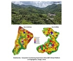 Mixed forest leads to higher productivity, says research