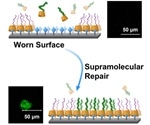 Novel technique extends lifespan of artificial joints, says research