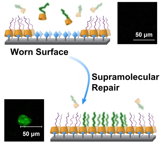 Novel technique extends lifespan of artificial joints, says research