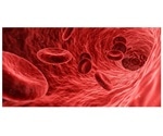 Study identifies molecular changes in red blood cells that cause vascular damage in type 2 diabetes