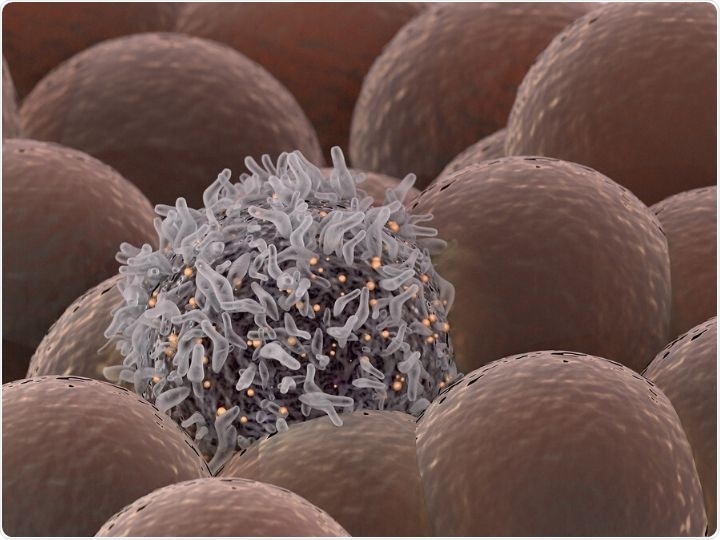 Transformative technology aims to provide insights into the function of immune cells