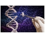 CRISPR introduces potentially dangerous changes in cells, reveals research