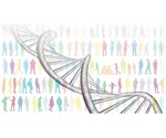 Study analyzes connections between COVID-19 severity and gene expression