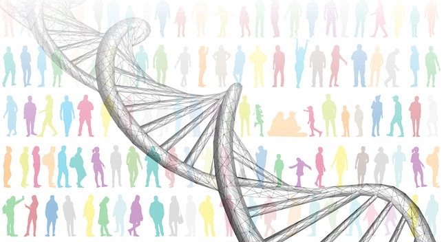 Study analyzes connections between COVID-19 severity and gene expression