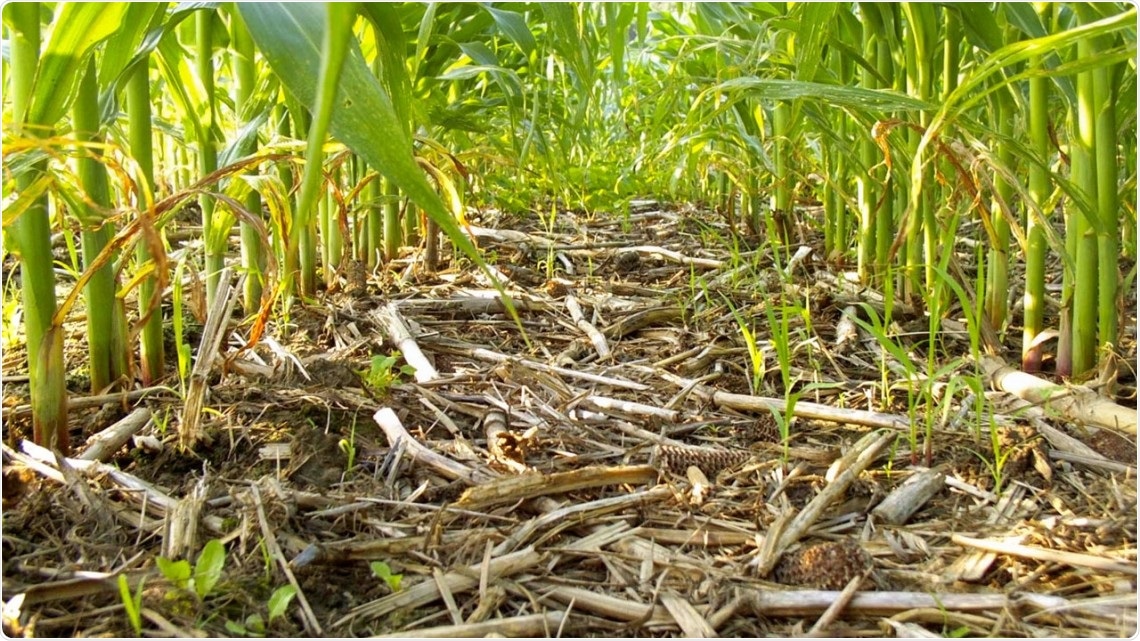 Research reveals role of bacteria in mediating soil carbon cycling
