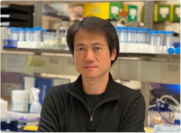 Study shows how a common gene mutation robs people of natural cancer protection