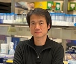 Study shows how a common gene mutation robs people of natural cancer protection