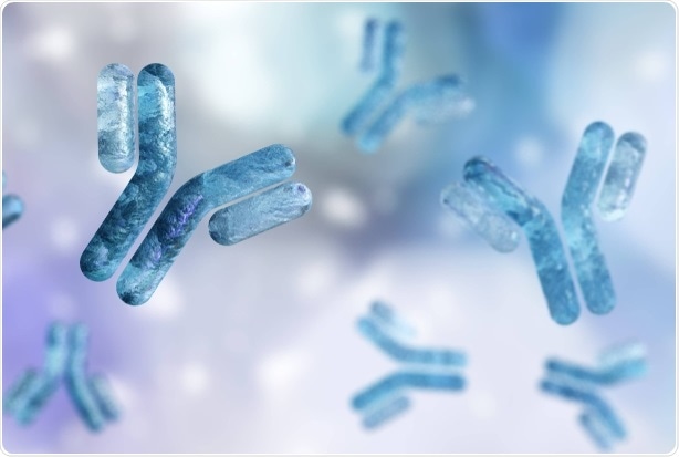 Antibodies play a major role in managing gut mycobiota, says study