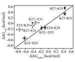 Study analyzes electrostatic interactions of proteins in Escherichia coli