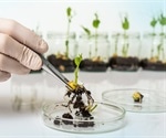 What are Transgenic Organisms?