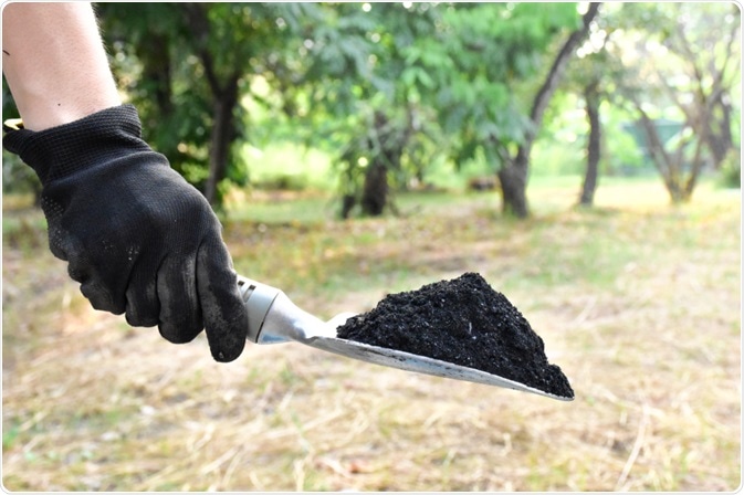 Biochar Biochar