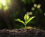 Study provides vital information on how plants manage stress