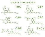 Cannabinoids and Obesity
