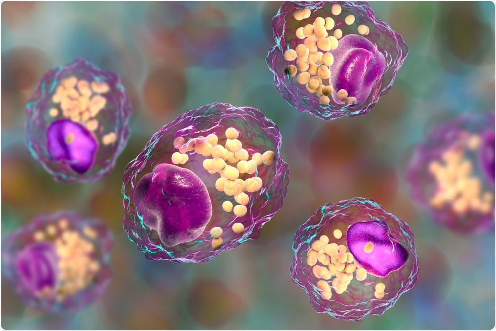 Macrophages Macrophages