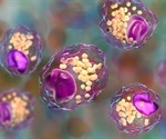 Experts identify novel mechanisms involved in macrophage polarization