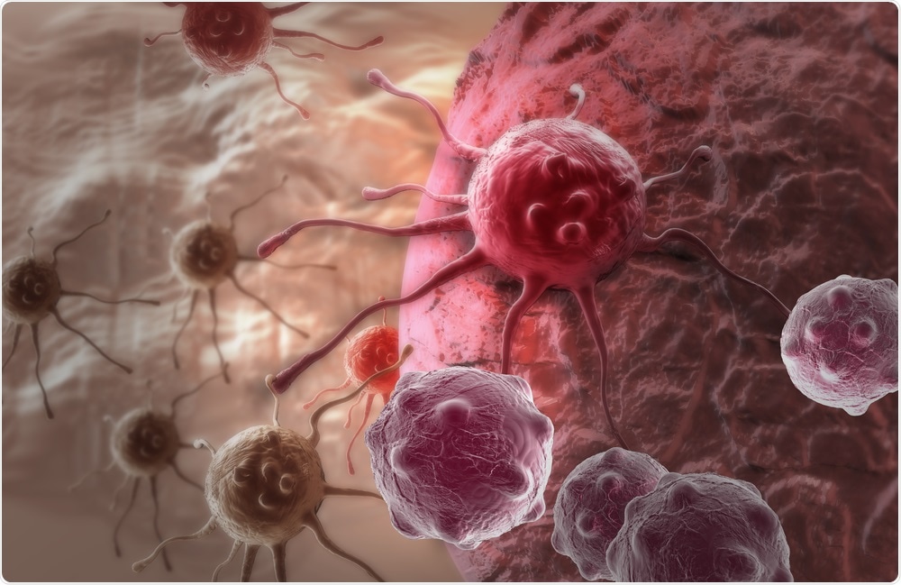 Cancer Cells Cancer Cells