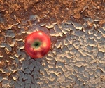 Investigating the Impact of Disasters on Food and Agriculture