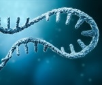 RNA Interference Therapeutics and Organ Transplantation