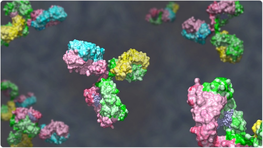 Antibodies Antibodies