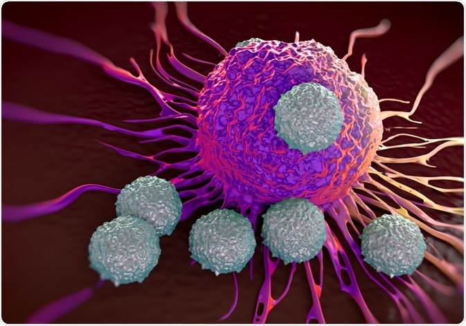 T Cells attacking cancer cell T Cells attacking cancer cell