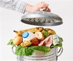 Insight into Food Waste