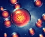 Key networks controlling pluripotency and apoptosis during development revealed