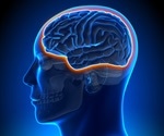 Human Blood-Brain Barrier on a Chip