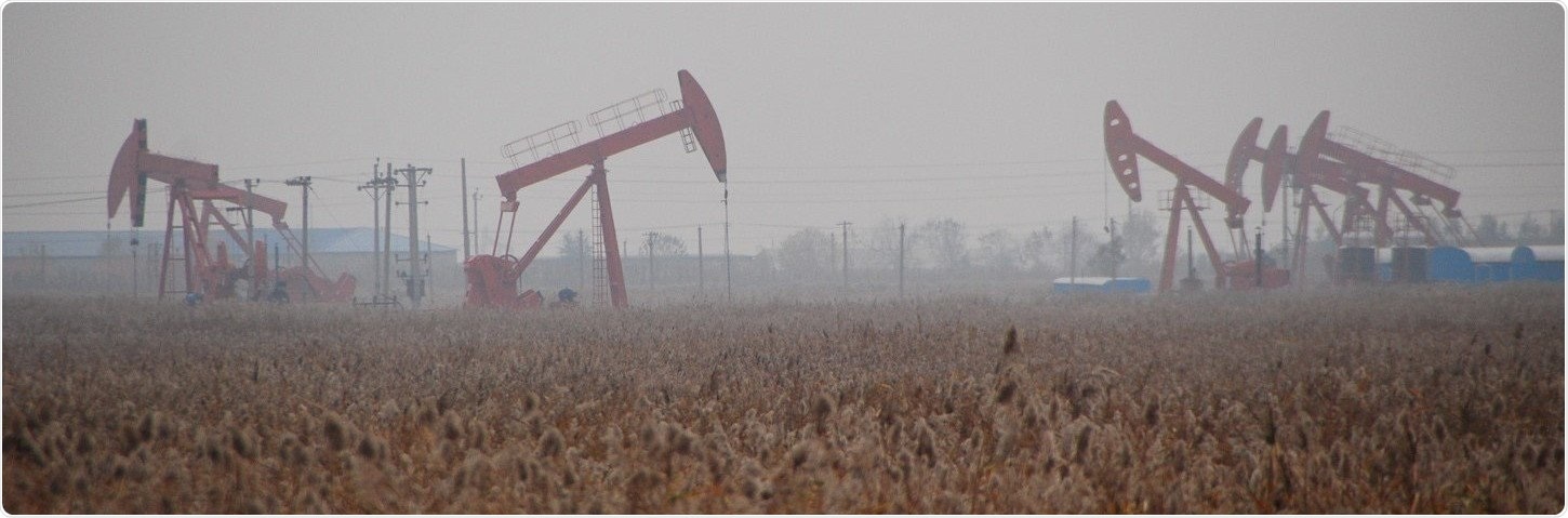 Researchers cultivate an archaeon that breaks down oil all by itself