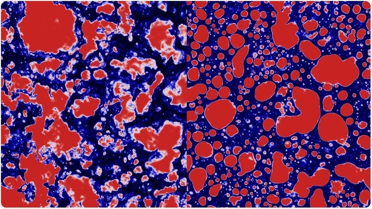 Study provides insight into how fat affects the texture of food