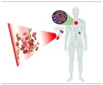 Researchers develop novel technique to monitor remote immune mechanisms