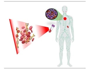 Researchers develop novel technique to monitor remote immune mechanisms