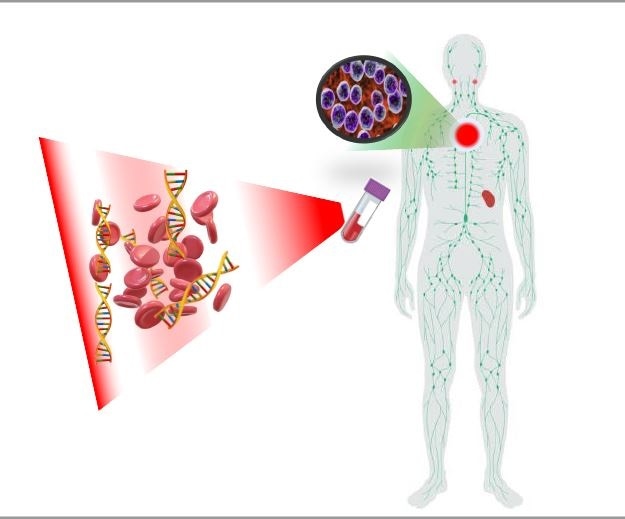 Researchers develop novel technique to monitor remote immune mechanisms
