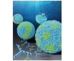 Experts identify ways to manipulate capsule-like DNA structures