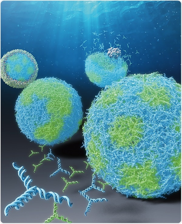 Experts identify ways to manipulate capsule-like DNA structures