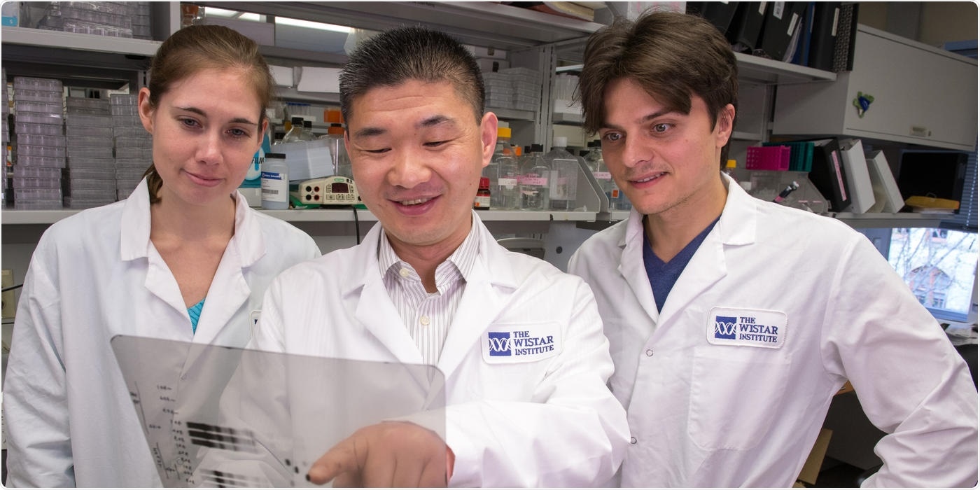 Study identifies genes that protect ovarian cancer from antitumor immunity