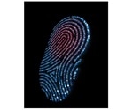 Each person has their own unique “fingerprint” of protein activity, says study