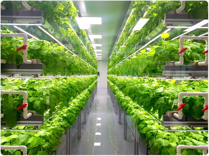 Vertical Farming Vertical Farming