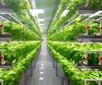 Everything You Need to Know About Vertical Farming