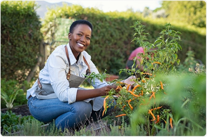 Woman in Agriculture Woman in Agriculture