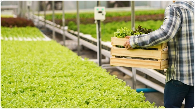 Food Production Food Production