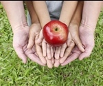 How is Climate Change Affecting Food Security?