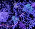 Study unearths novel mechanism coordinating the assembly of cell components