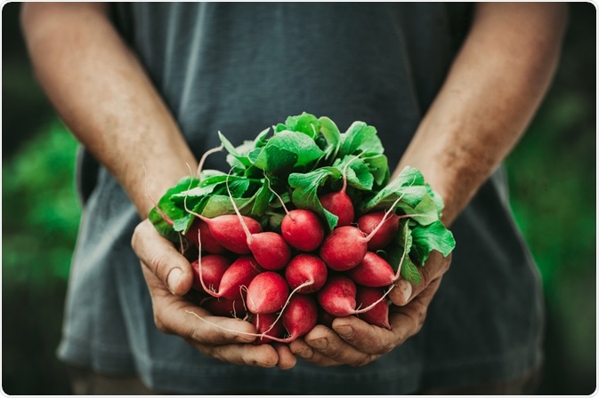 Natural Food Natural Food