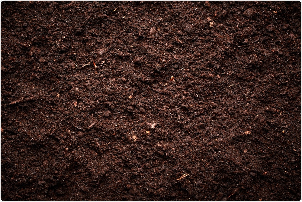 Soil Soil