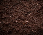 Seed microbiomes outweigh soil microbes in colonizing plants