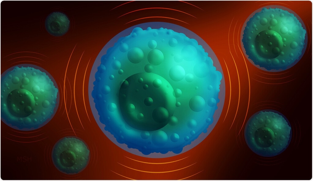 Study helps identify how immune system cells identify and eradicate tumors